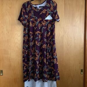 LulaRoe Carly Dress. FEATHERS!